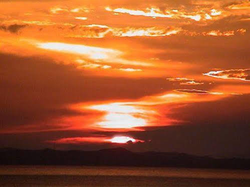 D'Coconut Island Resort Besar Island  Dış mekan fotoğraf
